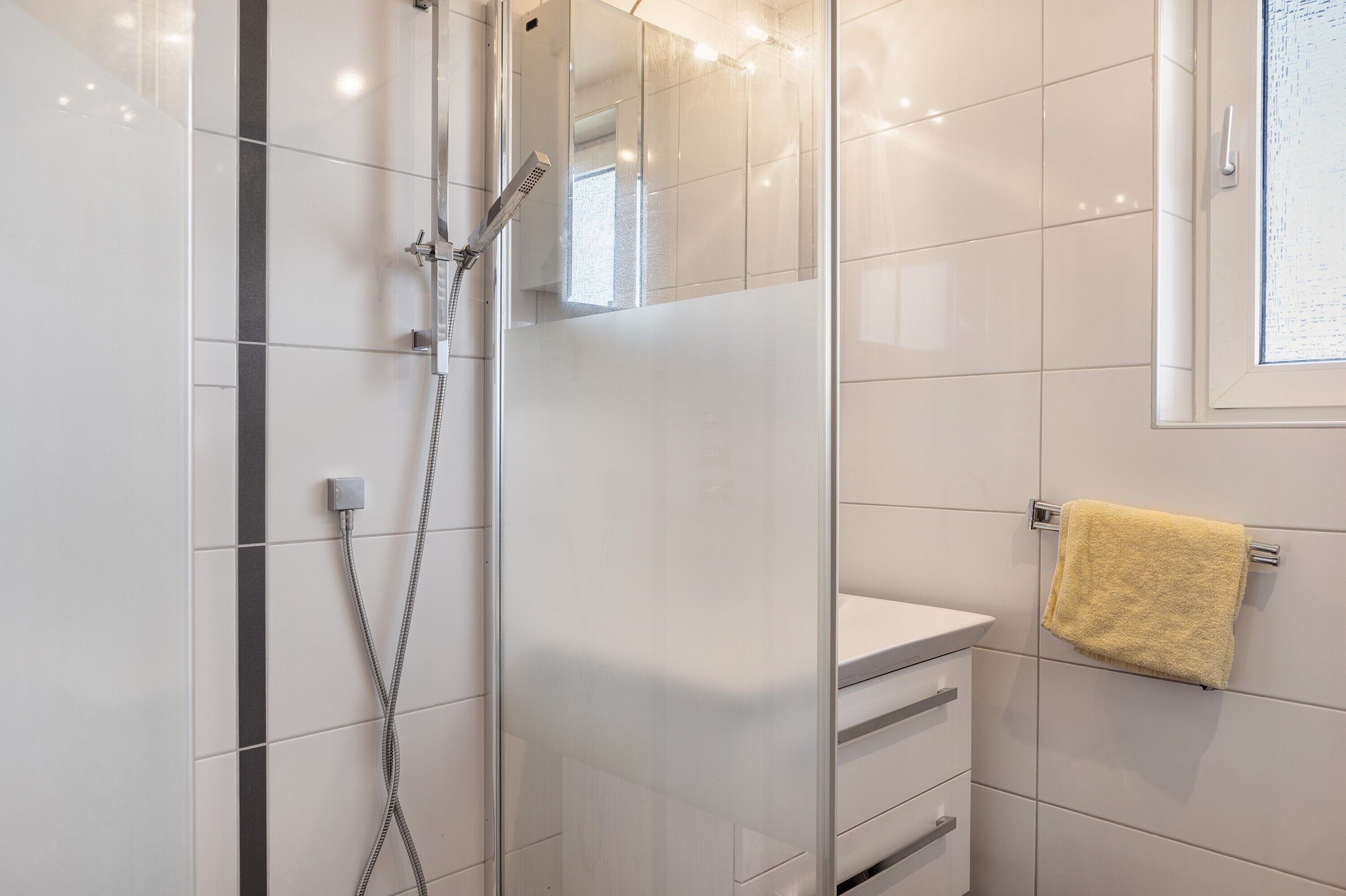 Shower, hair dryer, towels