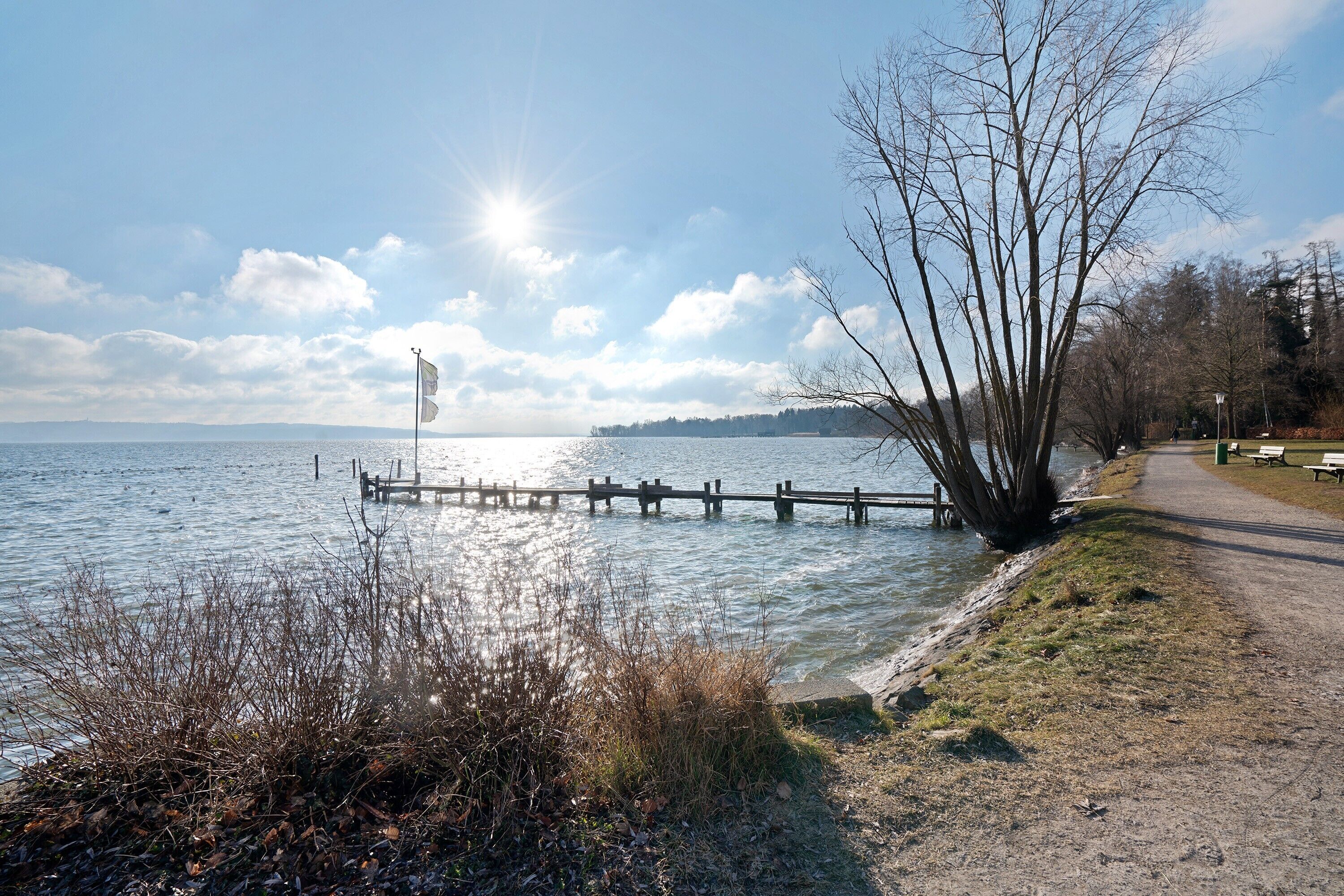 Un sendero junto al lago con un muelle de madera que se adentra en el agua, rodeado de árboles y un cielo despejado.