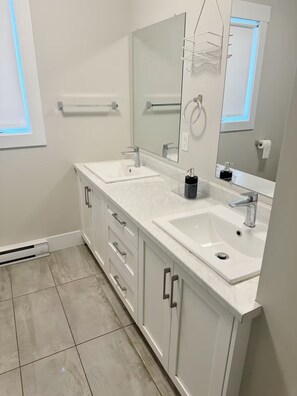 Assecador de cabells, tovalloles, sabó i xampú 