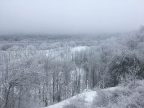 Miscellaneous - Winterplace D106 Ski in Ski out condo First floor (Ghent)