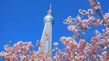 A tower with a clear sky and cherry blossoms in the foreground.