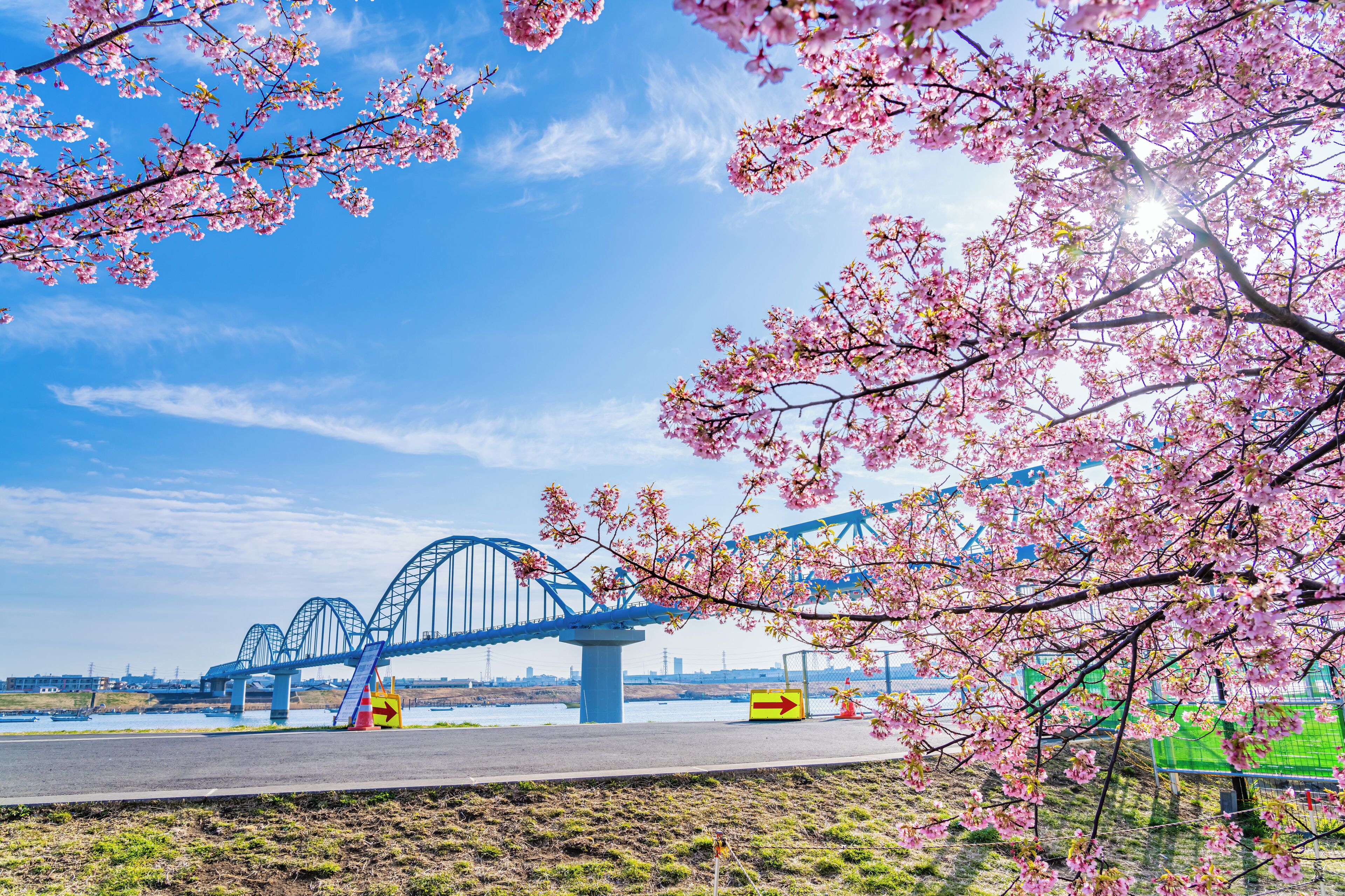 A blue bridge with a pedestrian walkway and a river in the background.