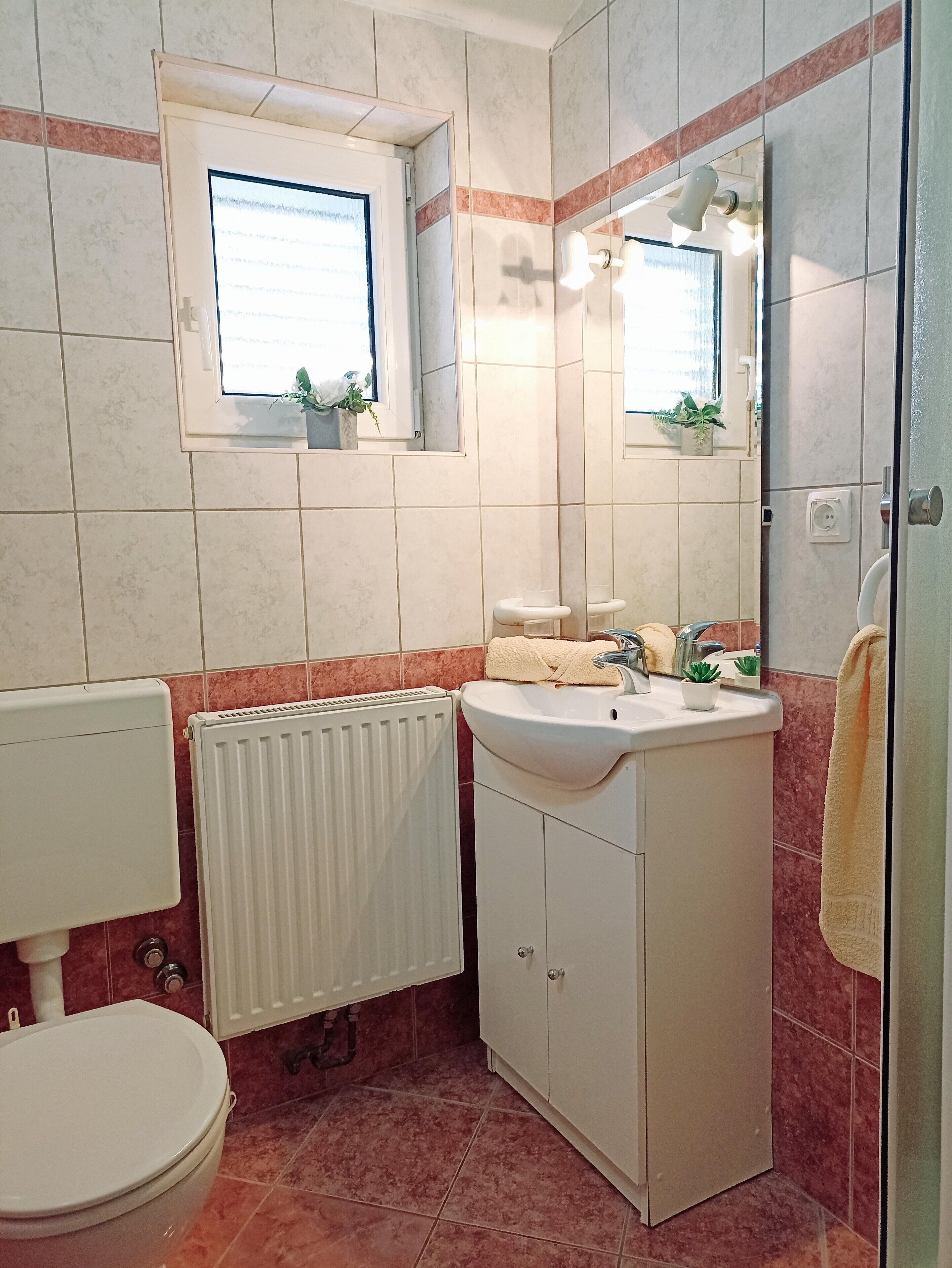 Ein Badezimmer mit Toilette, Waschbecken mit Spiegel darüber, Fenster mit Pflanzen und Heizkörper.