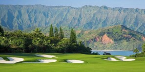 Golf - Newly Updated Alii Kai Princeville Condo w/ Yard & Stunning Views (Princeville)