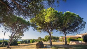 Un jardín ajardinado con un árbol grande, un banco de piedra y un edificio con tejado de baldosas.