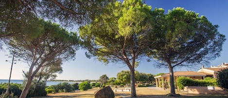 A landscaped garden with a large tree, a stone bench, and a building with a tiled roof.