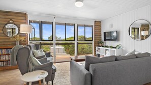 Tv, pejs, dvd-afspiller