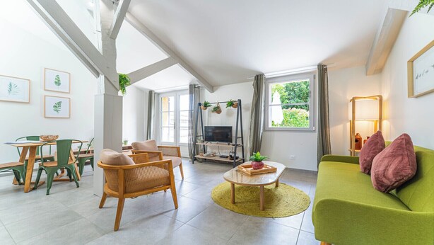 A spacious living area with a green sofa, wicker chairs, a coffee table, and a TV on a stand. - DOMAINE DU FLAMAND - BRUYÈRE (Naujac-sur-Mer)