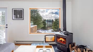 壁炉、书、电脑显示器