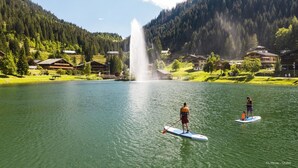 Apartment | Miscellaneous - Apartment With Parking in Chatel (Chatel)