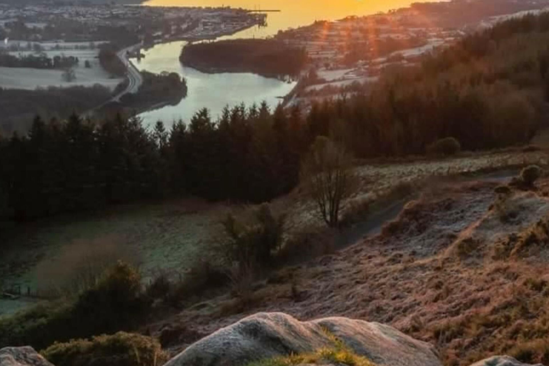 Un paysage montagneux avec une rivière et une zone boisée.