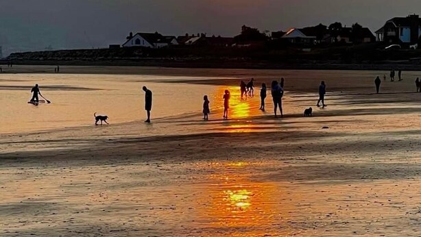 A beach scene with people and a dog during sunset. - Overlooking Carlingford Lough Modern and Spacious! (Warrenpoint)