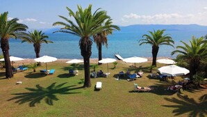 A beachside area with palm trees, sun loungers, and umbrellas. - Cozy studio with Sea View on the beach in Corfu (94X3+83V Kavos, Greece)