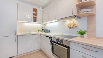 Fridge, oven, stovetop, dishwasher