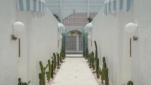 Un étroit sentier bordé de cactus, qui mène à un portail surmonté d’un mur orné de motifs.