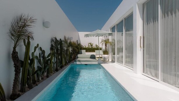 Un espace piscine moderne avec une piscine à l’eau d’un bleu limpide, des murs blancs et une rangée de cactus.