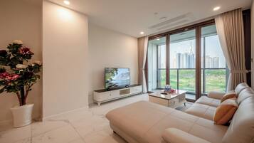 Televisión de pantalla plana, Netflix, servicios de streaming