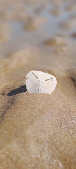 On the beach, sun loungers, beach umbrellas, beach towels - Coral Villa - Luxury Beachfront Villa with Private Pool by Karula (Inhambane)