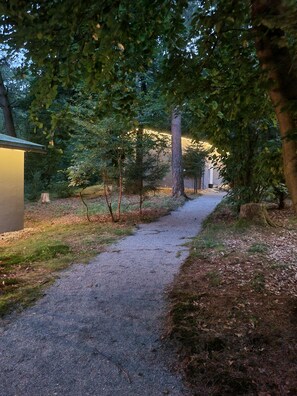 Ein Kiesweg, von Bäumen gesäumt, führt zu einem Gebäude mit beleuchteter Fassade.