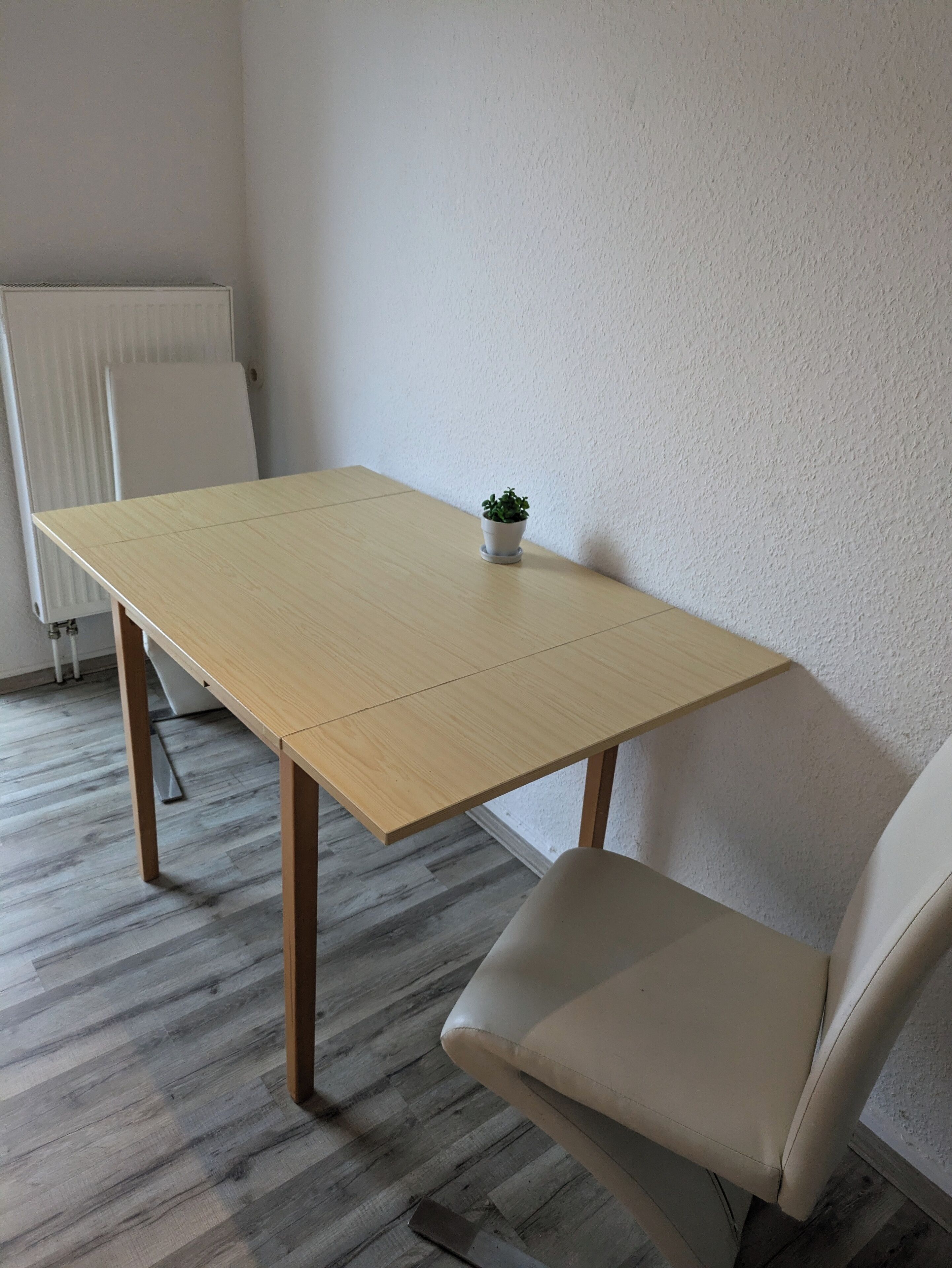 Una habitación con una mesa de madera, una silla blanca y una pequeña planta en maceta.
