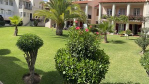 Un patio con césped cuidado, palmeras y diversos arbustos.