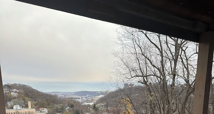 Pittsburgh city views close to all, cozy & bright 1BR - King + Dedicated Office