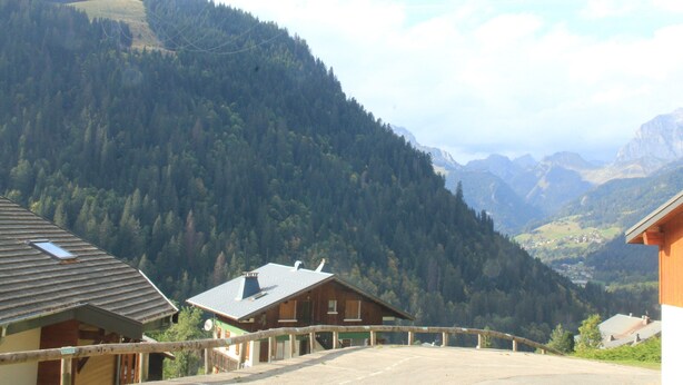 Una baita di montagna con tetto spiovente, immersa in una fitta foresta sotto un cielo sereno.