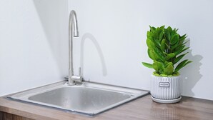 Un évier de cuisine doté d’un robinet moderne, avec une plante en pot placée à côté.