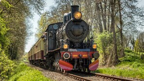 A steam locomotive on a railway track surrounded by trees. - Bungalowpark Simpelveld - Schakel 5 (Simpelveld)