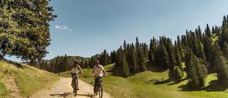 單棟房屋 | 其他設施