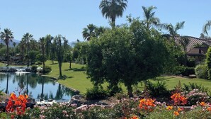 A residential area with houses, a pond, and a well-maintained lawn.