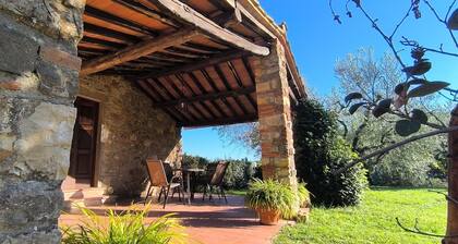 Farmhouse in Tuscany With Olive Grove Views