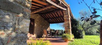 Farmhouse in Tuscany With Olive Grove Views