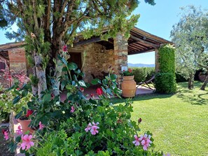 A rustic stone building with a wooden pergola, surrounded by lush greenery and flowering plants. - Farmhouse in Tuscany With Olive Grove Views (Bucine)