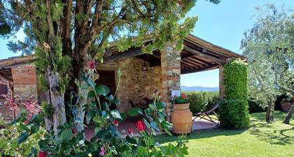 Farmhouse in Tuscany With Olive Grove Views
