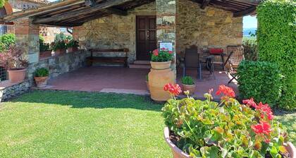 Farmhouse in Tuscany With Olive Grove Views