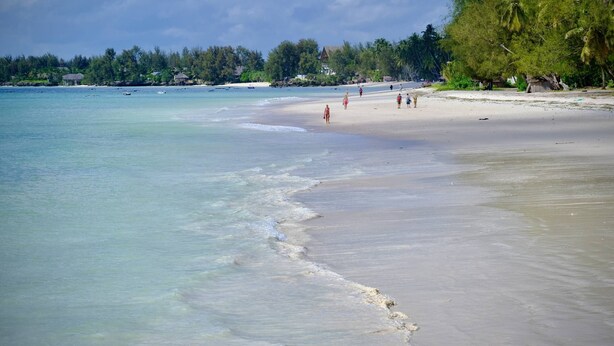 Ein Strand mit klarem Wasser, sandigem Ufer und einer Baum- und Gebäudelinie im Hintergrund.