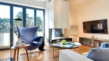 Televisión, chimenea, libros y videoteca