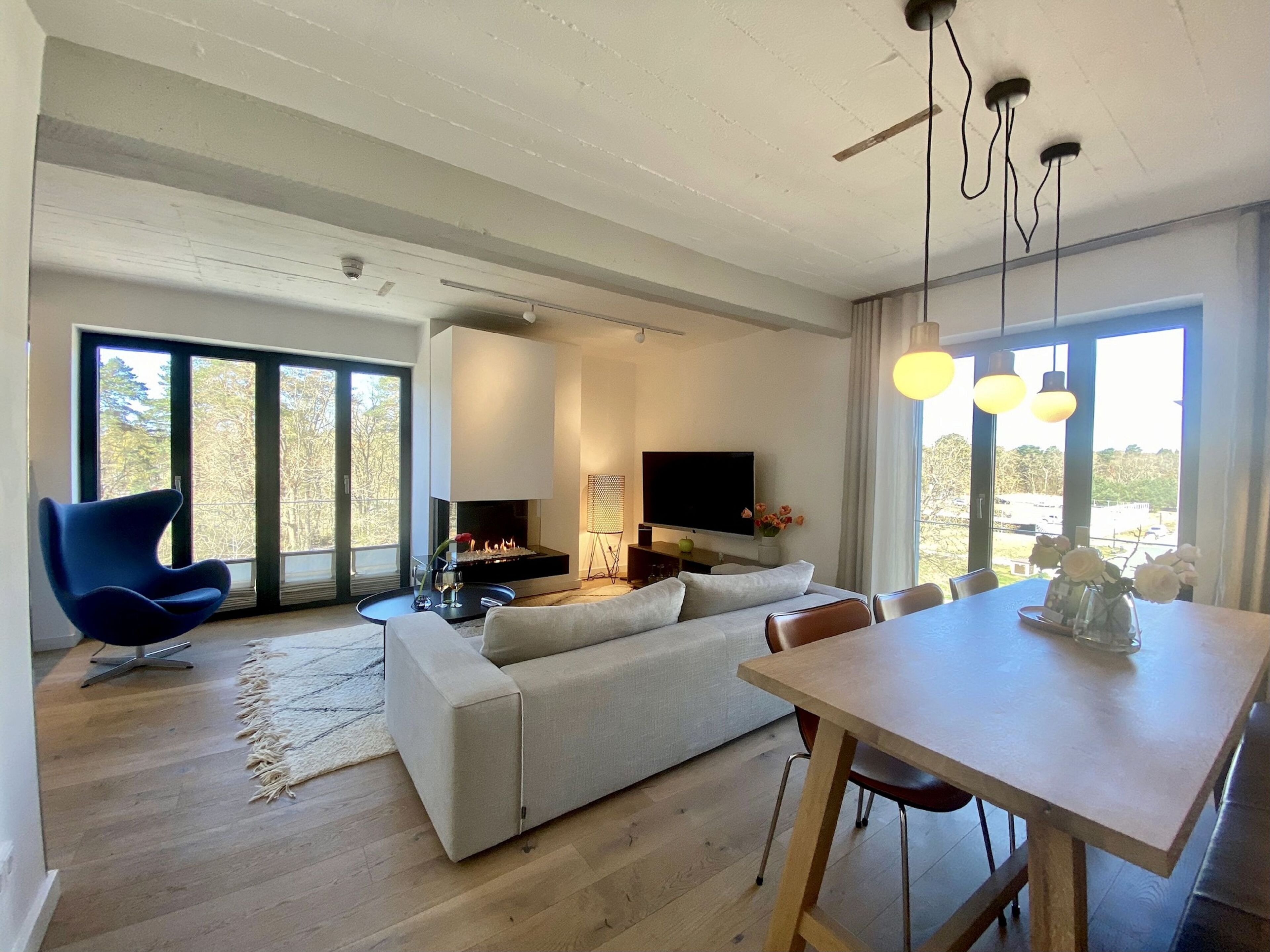 Televisión, chimenea, libros y videoteca 