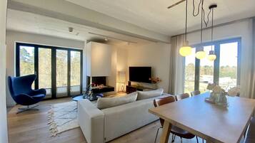 Televisión, chimenea, libros y videoteca