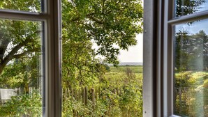 Ein Fenster mit Blick auf einen üppigen Garten und ein entferntes Gewässer.