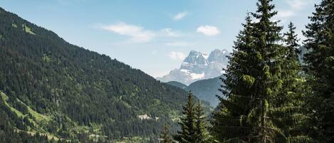 公寓 | 其他設施