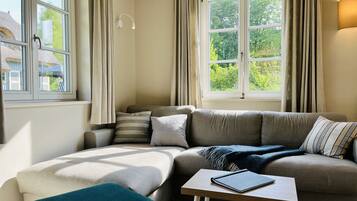 TV, caminetto, tavolo da ping pong, impianto stereo