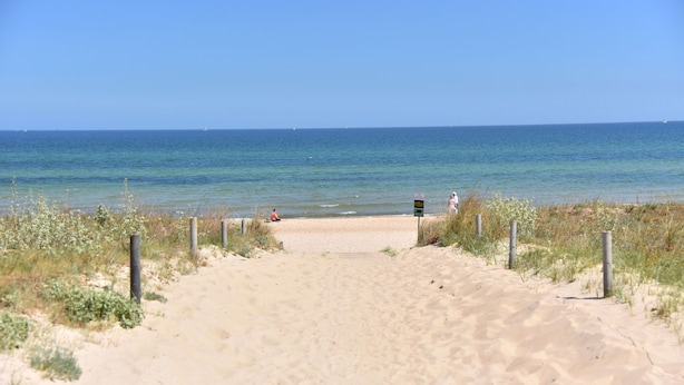 Een zandpad langs het strand dat uitkomt op de oceaan, onder een heldere lucht.