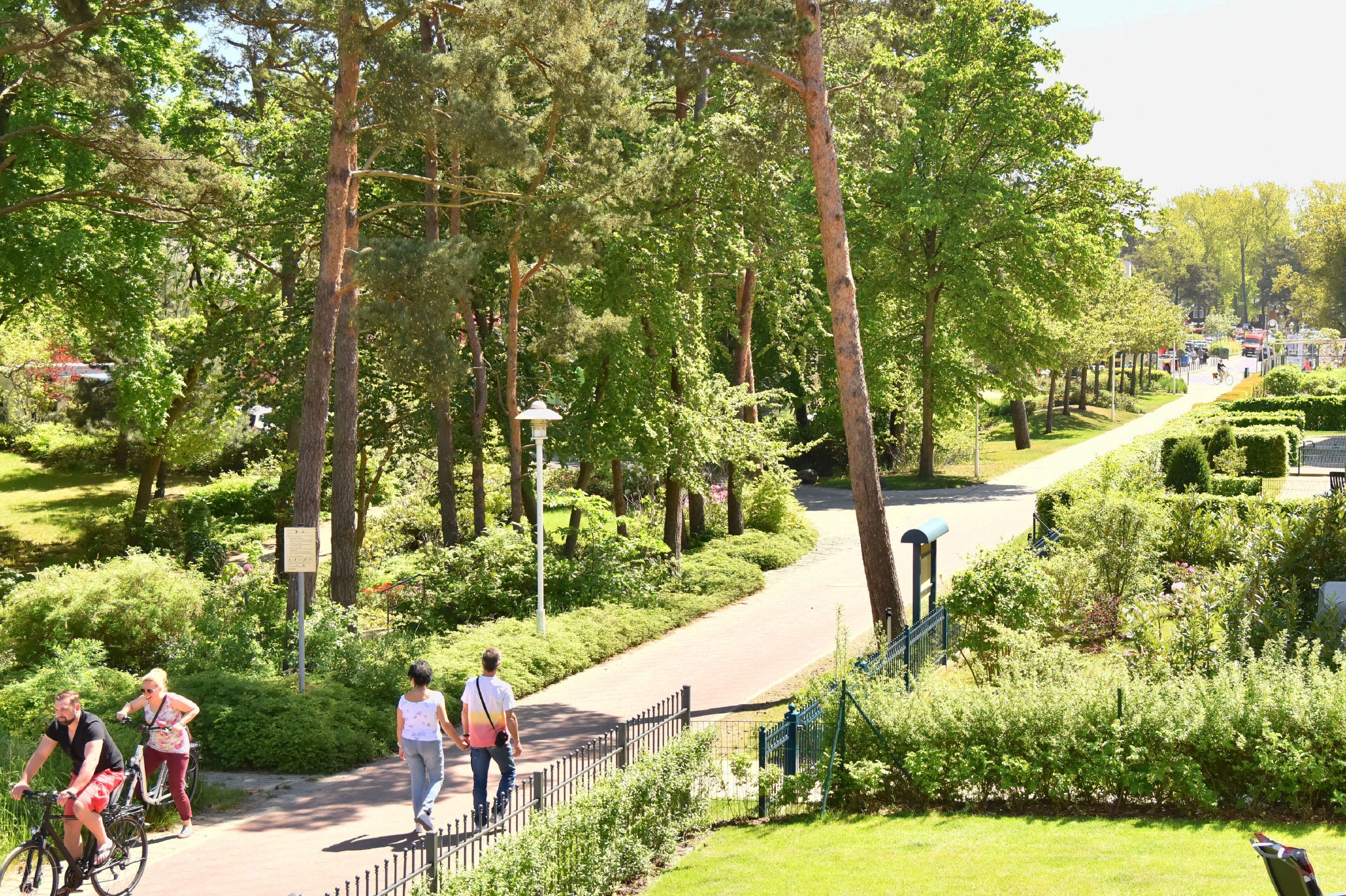 A park with a paved path, trees, and benches.