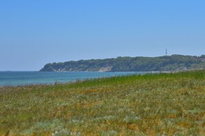 A coastal landscape with a grassy foreground, a clear sky, and a distant hill with a lighthouse. - Light-flooded vacation apartment 'Lachmöwe' in Baabe: sea view, comfort (Baabe)