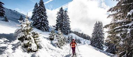 Snow and ski sports