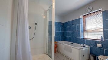 Apartment | 1 bedroom, Internet