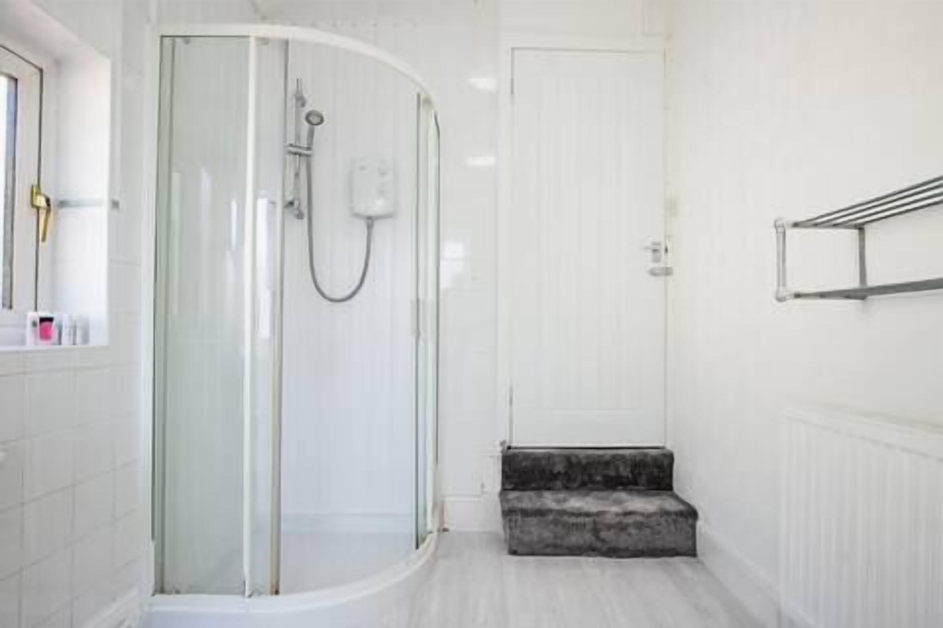Une salle de bain moderne avec une douche à parois de verre, une porte blanche et un petit marchepied menant à l’espace douche.