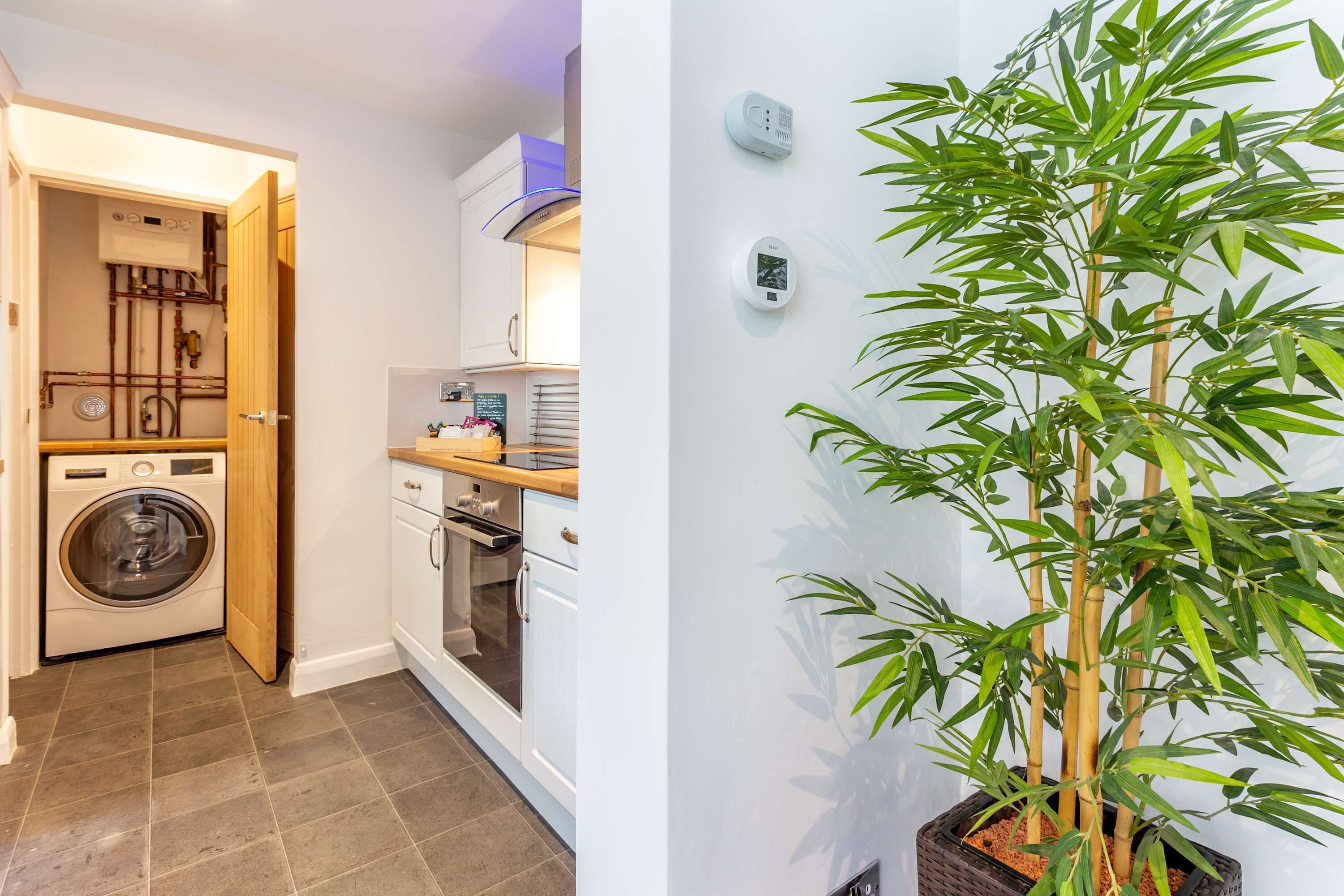 A compact kitchen with a washing machine, oven, and a potted bamboo plant.